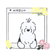 おーるどいんぐりっしゅしーぷどっぐvol.3