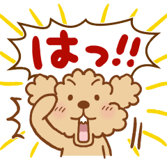 トイプーのぷう太郎 その11