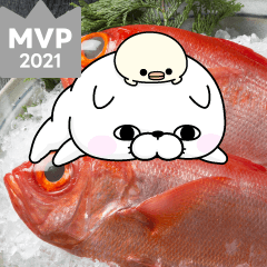 写真に貼りたいぬこ１００％