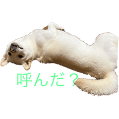 はなちゃんのオリジナルスタンプ①