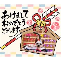 メルちゃん年賀