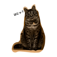 アークの日常　普段使い