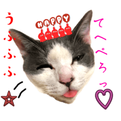 うちの子たち（実写）