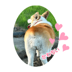 コギケツのつぶやき2️⃣