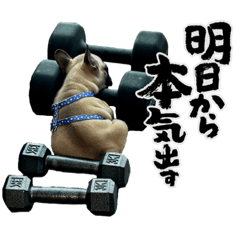 明日から本気出すPepperくん。