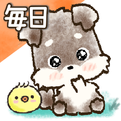 愛犬家のわんこ♡シュナウザー【毎日】