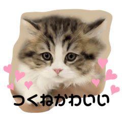 かわいいつくねくん