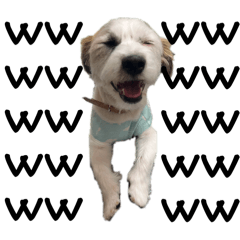 くるみとむぎ　part2