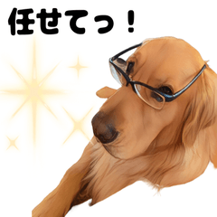 ゴールデンレトリバー「グク」の挨拶