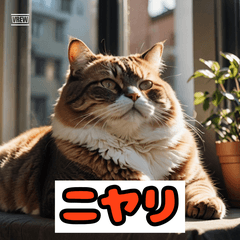 もっちりデブ猫スタンプ