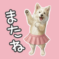 いつもわんこと一緒に3