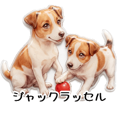 ぷっくりシール♡ジャックラッセルテリア