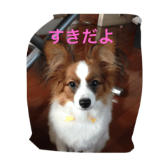 たのしいいちにち