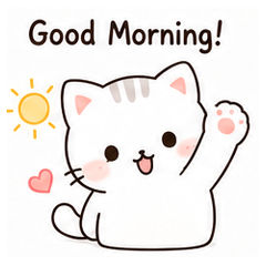 Kitty Care and Expressions