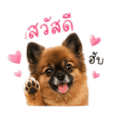 Juffjuff_20260501144631