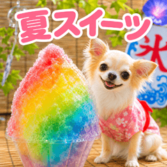 とびだす★夏スイーツ♡チワワ♡いぬ♡犬