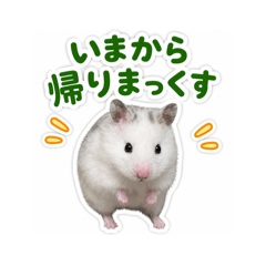 今日のまっくす2