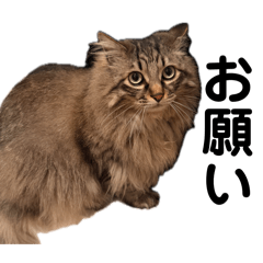 Pachan’s Stickers Vol.1