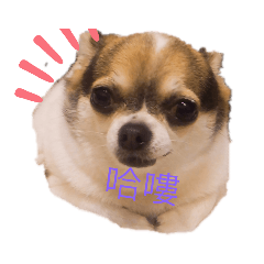 Shanti_20190610175806