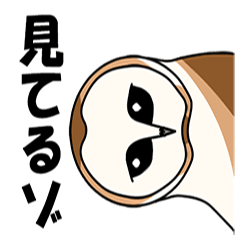 見てるよ フクロウさん