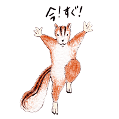 こりすのスタンプ