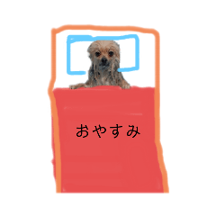 みんな大好き！エンジェルポンポン2