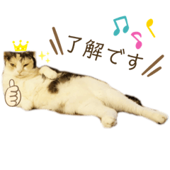 ゆるねこだいすきスタンプ