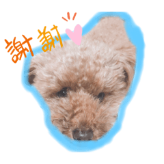 ココロのスタンプ2