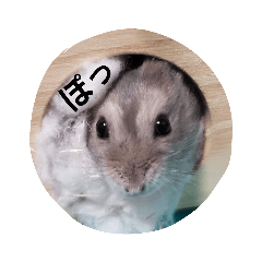 ハムスター顔だけスタンプ