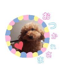 わんこの日常スタンプ登場