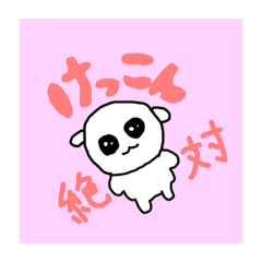 ポメおじ♡スタ