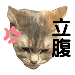 メルピーのスタンプ