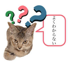 ピノにゃんスタンプ