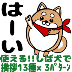 まるまるしばいぬ!挨拶13種×3パターン