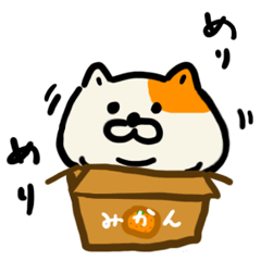 もふもふ！でぶねこさん