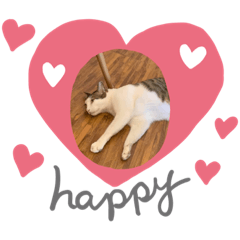 Annie lin_20200910221317