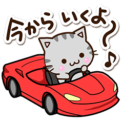 おちゃめなアメショ３