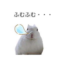 うさぎの【ユキ】