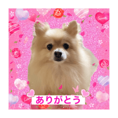 ココたんのスタンプ2