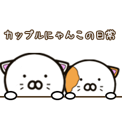 カップルにゃんこの日常