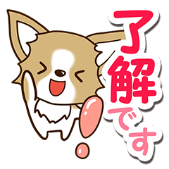 チワワ　犬スタンプ【丁寧・敬語】