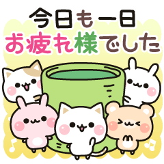 気づかいのできるネコとなかまたち