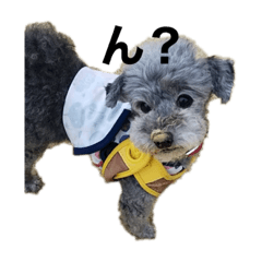 さくらとよつば