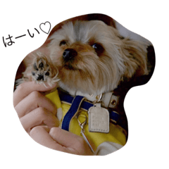 お返事むーたん