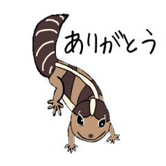 ニシアフ　Ver.2　（癒し系爬虫類）