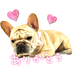 フレブルふぁむち2