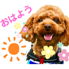 といぷーのりょうちゃん２