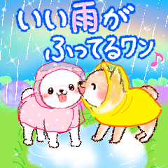 花とわんにゃん♡　梅雨・夏