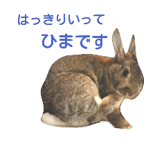 暇なときに使うスタンプ