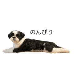のんびりモノちゃん